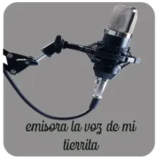 La voz de mi tierrita 94.1 FM logo