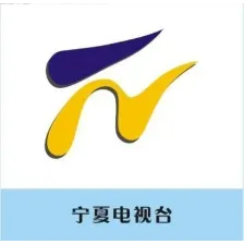 宁夏新闻广播 logo