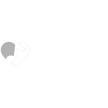 Ti Amo logo