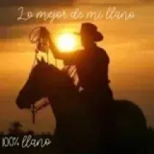 Lo mejor de mi llano logo