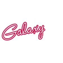 Galaxy FM 100.2 FM ZZinna! logo