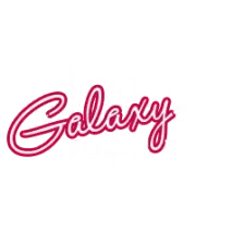 Galaxy FM 100.2 FM ZZinna! logo