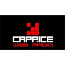 Surf Rock - Caprice Radio logo