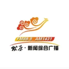 松原新闻综合广播 logo