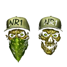 NR1 DNB Radio logo