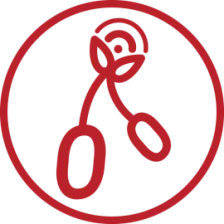 🍒 La Radio sous la Cerise 🍒 logo
