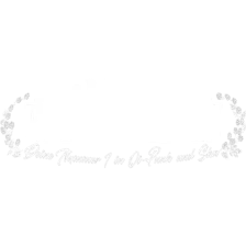 RADIO ENDSTATION logo