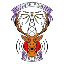 Nunspeets Piraten Team logo