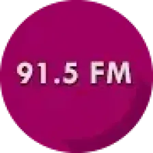 91.5 FM Panzer Radio Station logo