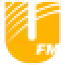 UFM 95.5 logo
