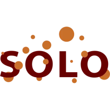 Radio Solo logo