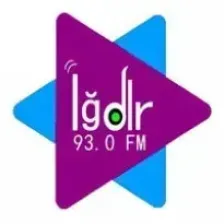 (93.0) IGDIR FM logo