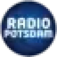 Radio Potsdam logo