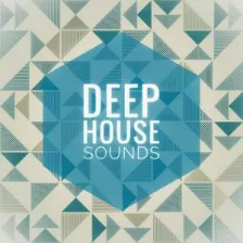 Deep House Sounds logo