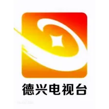 德兴之声国际广播 DeXing International logo