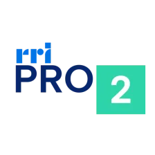 RRI Pro 2 Jakarta 105 FM logo