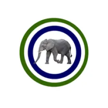Pan African Allstars Radio logo