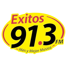 EXITOS 91.3 (Matamoros) - 91.3 FM - XHMLS-FM - Grupo Radio Avanzado - Matamoros, Tamaulipas logo
