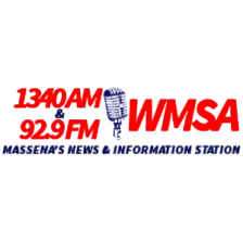 WMSA logo