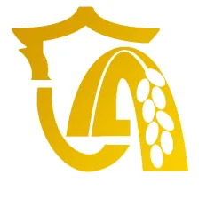 隆安综合广播（微赞视频慢直播线路） logo