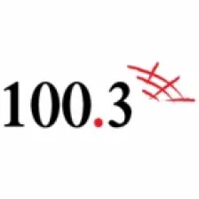 FM 100.3 logo