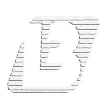 Bitlis FM 98.8 logo