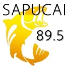 FM Sapucai 89.5 logo