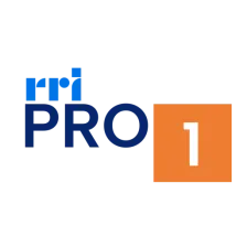 RRI Pro 1 Yogyakarta logo