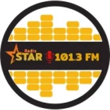 Radiostar 101.3 logo