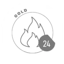 GOLD 24 logo