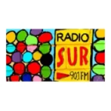 Radio Sur 90.1 FM logo