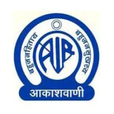 airpunjabi logo