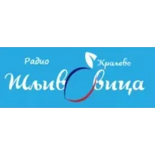 Radio Sljivovica logo
