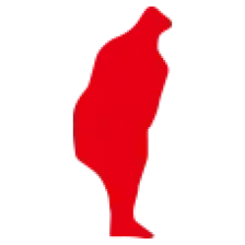 大漢之音 logo
