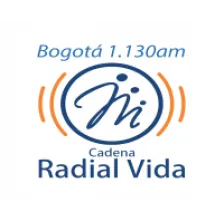 Vida logo
