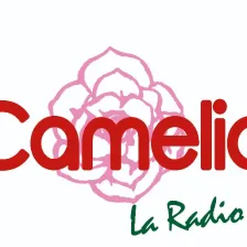 Radio Camelia 93.5 - CPR Presencia logo