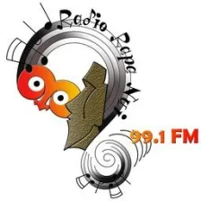 Radio Rapa Nui 99.1 logo