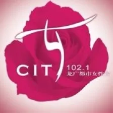 Amur River City Lady Radio 102.1 logo