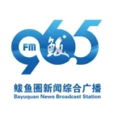 Bayuquan Comprehensive News Broadcast logo