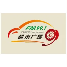 DLR-6 Dalian Metropolis Broadcasting 99.1 logo