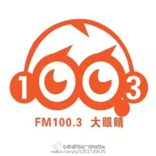 Handan Big Eyes Radio 100.3 logo