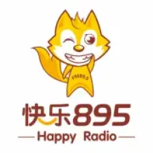 Nanning Story Radio 89.5 logo